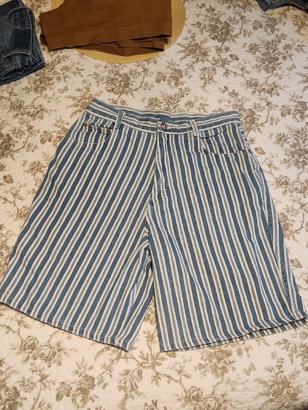 Back Road Blues Vintage Striped Blue and White Ladies Shorts